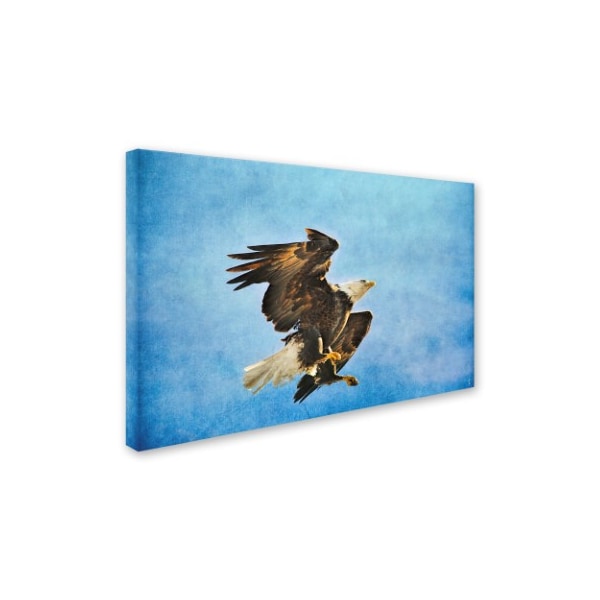 Jai Johnson 'Landing Gear Bald Eagle' Canvas Art,30x47